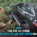 전기차 SUV 급발진 주장 사고 이미지