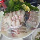 제주어장 - 제주시 우정로 82 | 🐟 제주 서귀포 도민 맛집! 횟집 추천, 푸른어장 🐟