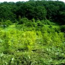 천사농장 이미지