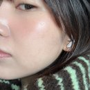 하하웜 | 누그레이 세모탭 블러셔 가을웜뮤트 베쥬탭 후기