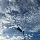 장선마을 이미지