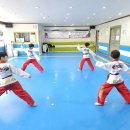 용인대 비룡 태권도장 이미지