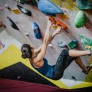 한반도태권도 이미지