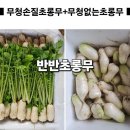 초롱하우스 이미지