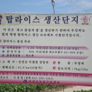 미소농장 이미지