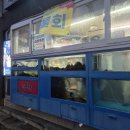 동해시-55 | 대구 달서구 상인동 맛집 동해횟집 자연산 회 후기 단체모임 술집 추천