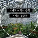 유미장원 - 구미시 | 거제도 여행 거제도 정글돔 대형식물원 후기