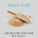태광약품