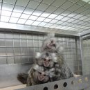 승인의료재단 이미지