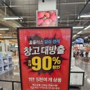 반값애견 | 홈플러스 최대 90%할인 다녀왔어요! 캠핑용품, 장난감 반값 득템 후기