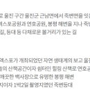 봉평1리마을회관 이미지