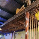 고향쌀국수 이미지