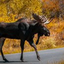 my drink museum 이미지