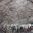 진해구 ⓒ-19 이미지