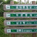 천사화원
