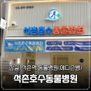 석촌호수동물병원
