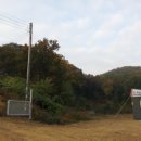 효성목장 이미지