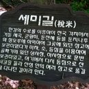 세미길, 청야전술 그리고 영조의 수성윤음 이미지