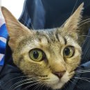 한라동물병원 이미지