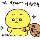 대관령팝업하우스 | 여태 먹은~