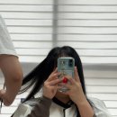 마이멜붙임머리 네이버블로그