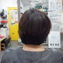 사파동156 이미지