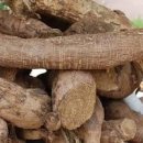 칡차 효능 부작용 알고 마셔봐요 이미지