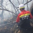 김삿갓면-5 이미지