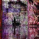 아르떼뮤지엄부산 이미지