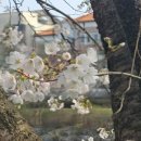 운중천(좌로) 이미지