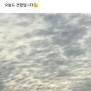 이글 보고 투표 안하시는분들 한분이라도 더 참여하길 바라는 마음으로~ (댓글줍줍) 이미지