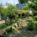 제주마중 협재 이미지