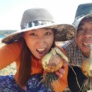 딸기엄마양파아빠 이미지