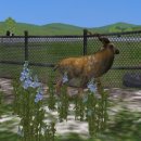 마코르(주) 이미지