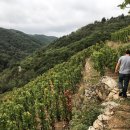 블랑루이 이미지