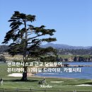 샌프란시스코 근교 당일투어 후기 몬터레이, 17마일 드라이브 페블비치, 카멜시티 코스 추천