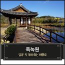 [담양] 죽녹원 후문에서 족욕체험까지 걸어간 후기 담양 가볼만한 곳 담양 가성비 숙소