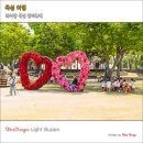 창미농장 | 6월 꽃축제 곡성 장미축제 기간 섬진강 기차마을 장미공원 세계장미축제 꽃구경