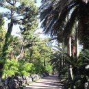 한림공원 이미지