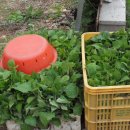 산골의하루 이미지