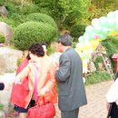 태백초등학교 Daum카페