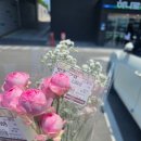 천안터미널 동물약국 이미지