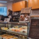 아라파파 이미지