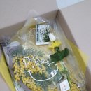 포시랍개 이미지