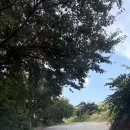 별빛키즈 애견 풀빌라 이미지