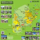 [테마 2024년7월6일토요일] 강원도대관령 천년의 숲길 금강소나무길 트레킹안내 이미지