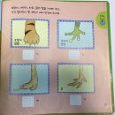그램책 통통 이야기 통통 | 유아 자연관찰 전집 &#39;자연이통통&#39; 내돈내산 1년 후기