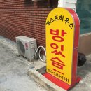 소나무펜션형민박 | 강릉 강문해변 섬스토리 (펜션형 게스트하우스)