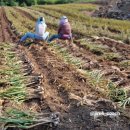 단양군적성면각기보건진료소 | 단양 원주민 맛집 8,000원의 점심 스케일? (feat 양지가든)