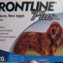 마산가축병원 이미지